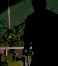 A silhouette of a man in the darkness shining a torch at several potted plants