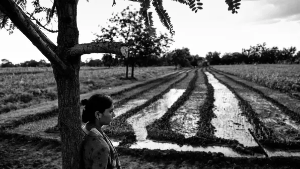 An Indian woman leaning against a tree looking over her crop field