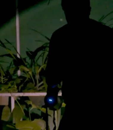 A silhouette of a man in the darkness shining a torch at several potted plants